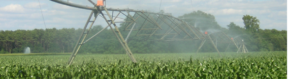 irrigation avec pivot