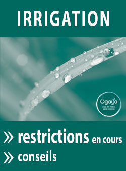 Irrigation : restrictions, conseils