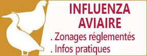 Influenza aviaire : zonages, infos